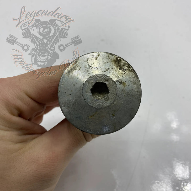 Bullone di supporto motore anteriore OEM CA0013.02A8