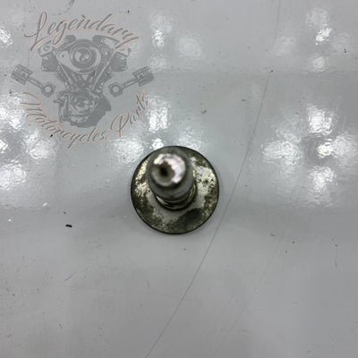 Bullone di supporto motore anteriore OEM CA0013.02A8