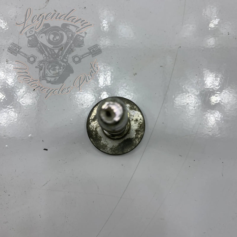 Bullone di supporto motore anteriore OEM CA0013.02A8