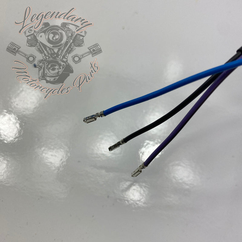 Cuvelage clignotant 3 positions