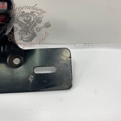 Lights and license plate holder