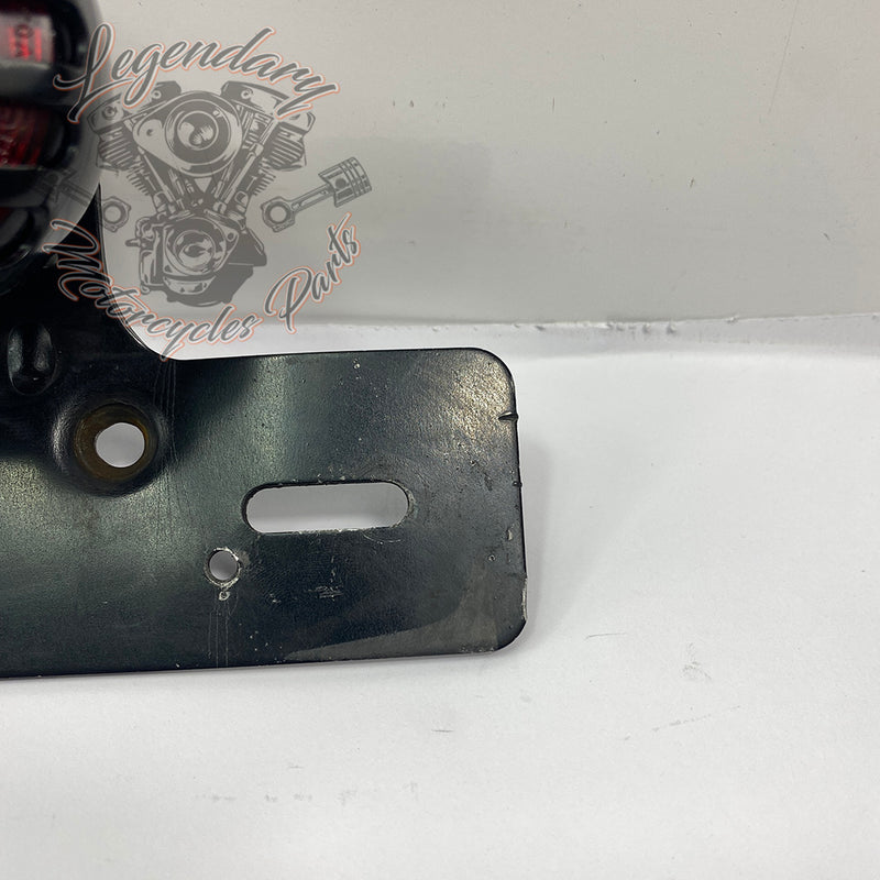 Lights and license plate holder