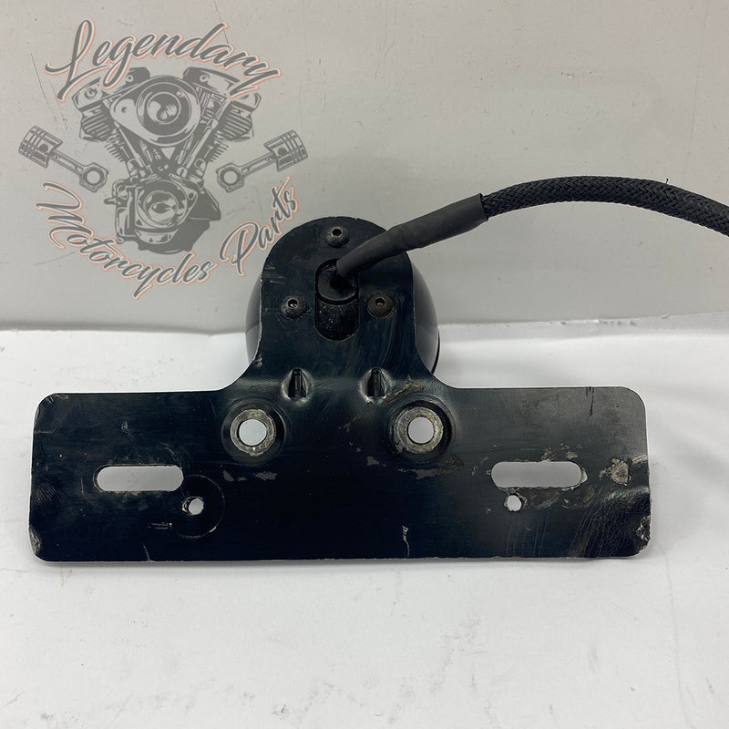 Lights and license plate holder