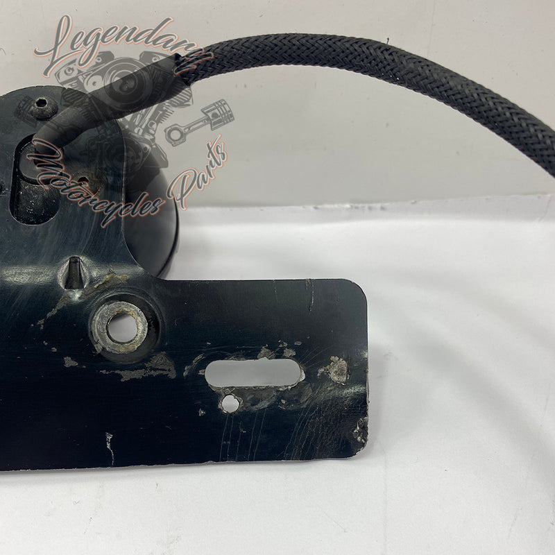 Lights and license plate holder