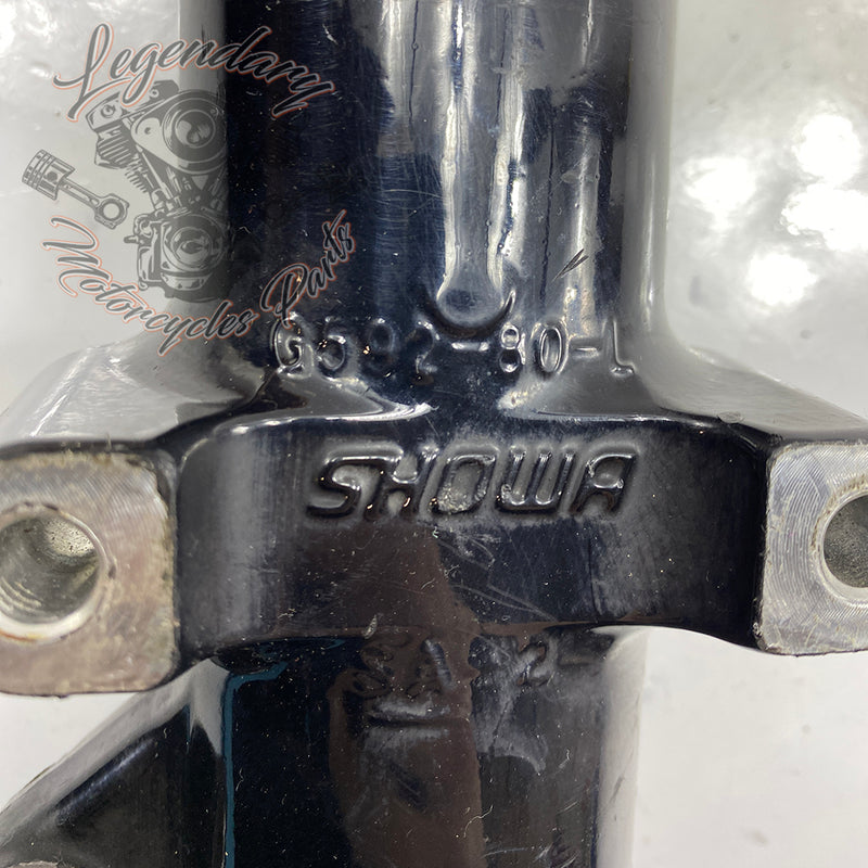 Left Fork Tube OEM 45918-00