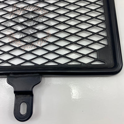 Radiator grille