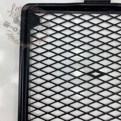 Radiator grille