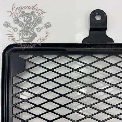 Radiator grille