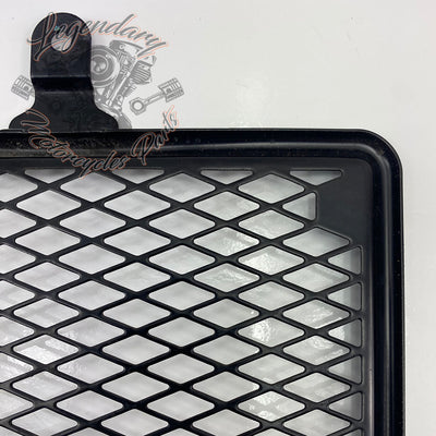 Radiator grille