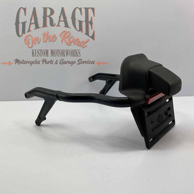 Supporto targa OEM 67900397