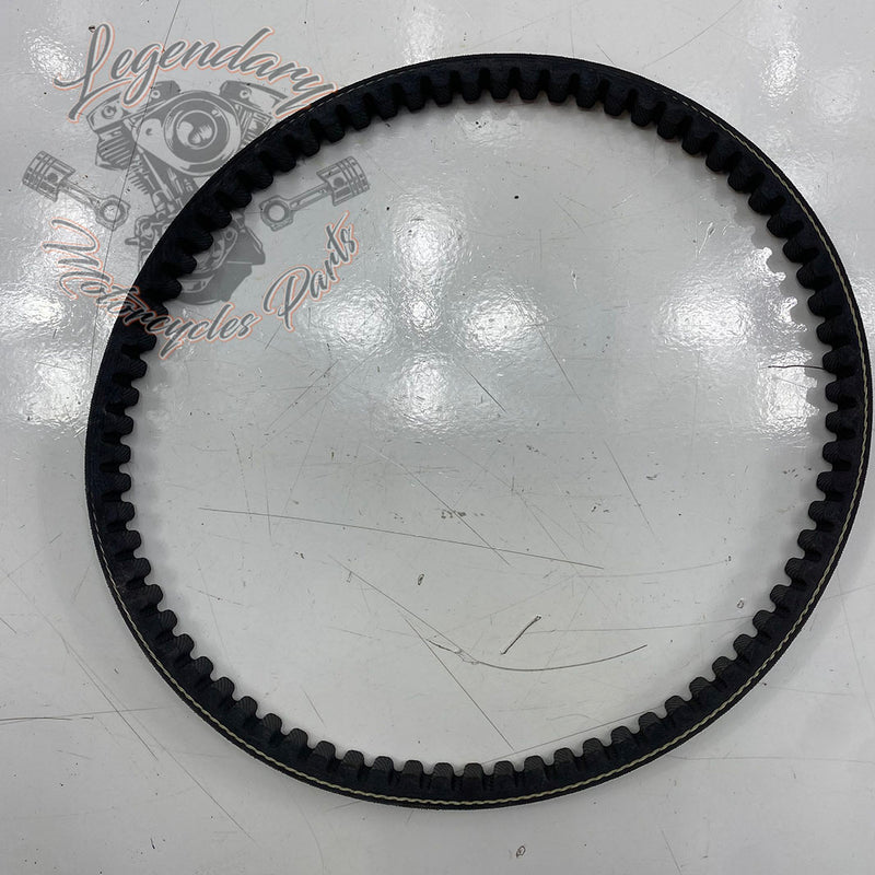 Variatorski jermen Réf. 1172917100