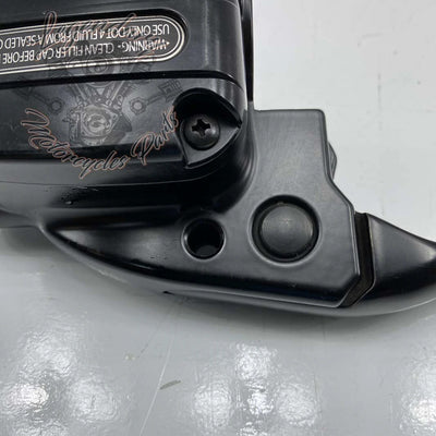 Master Cylinder and Clutch Lever OEM 36700169A