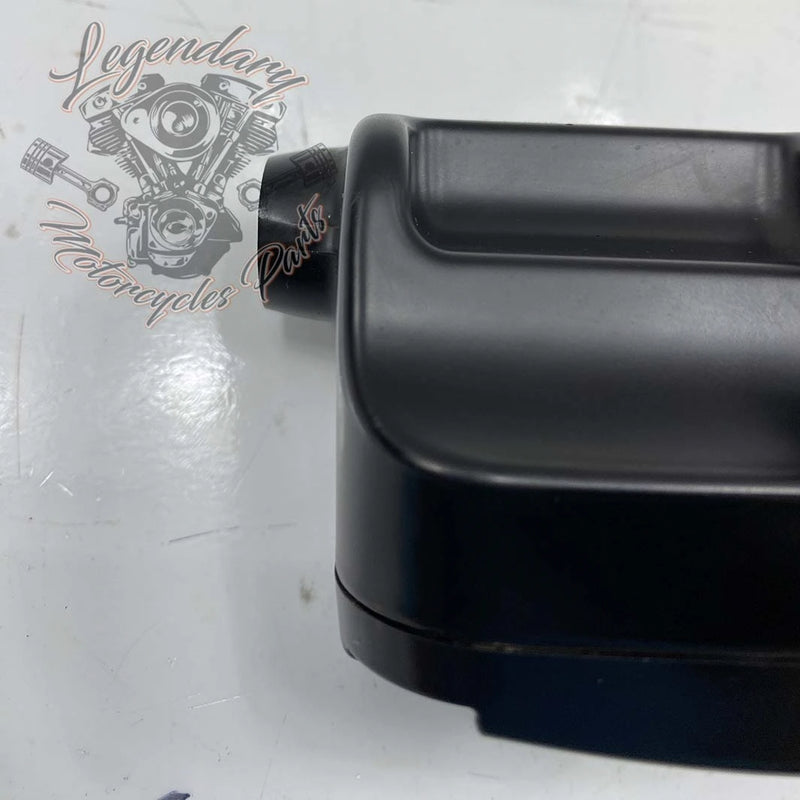 Master Cylinder and Clutch Lever OEM 36700169A