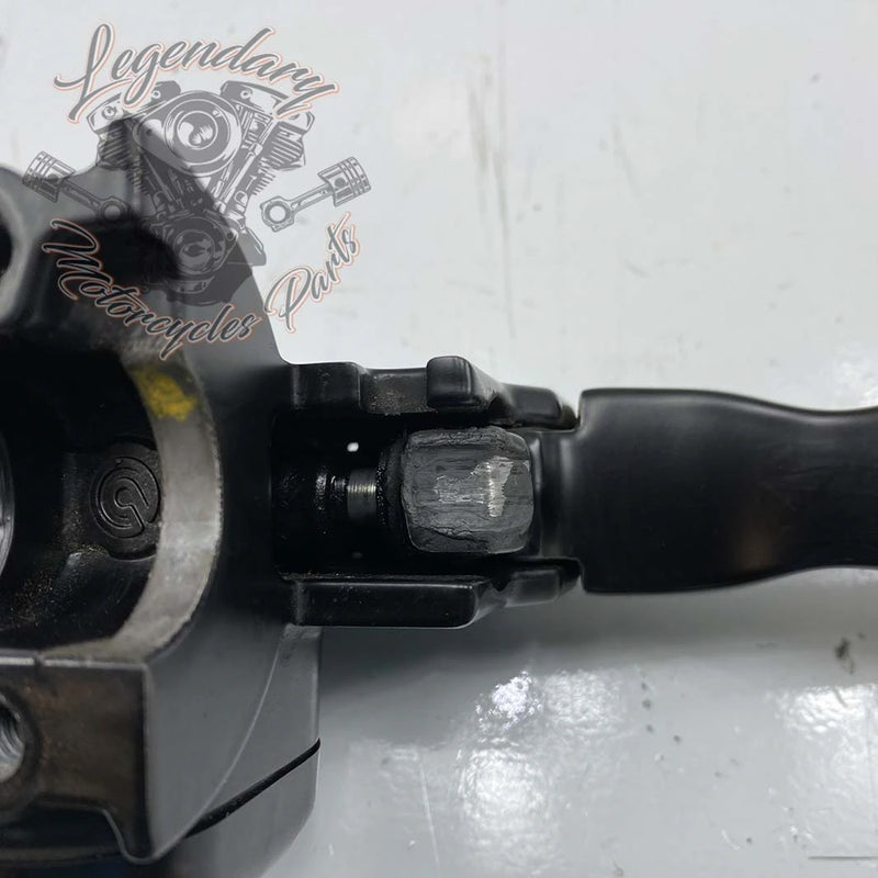 Master Cylinder and Clutch Lever OEM 36700169A