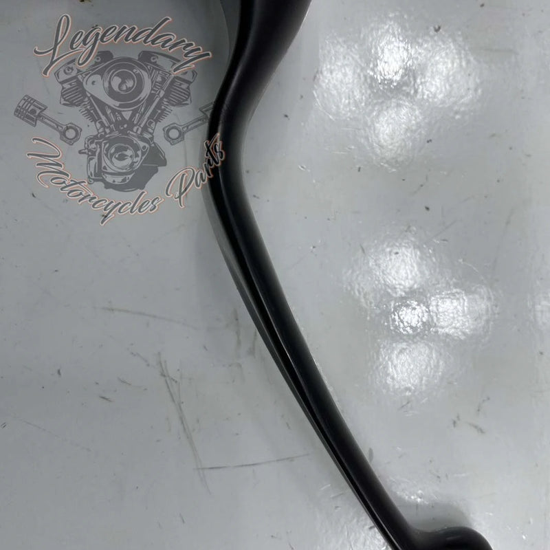 Master Cylinder and Clutch Lever OEM 36700169A