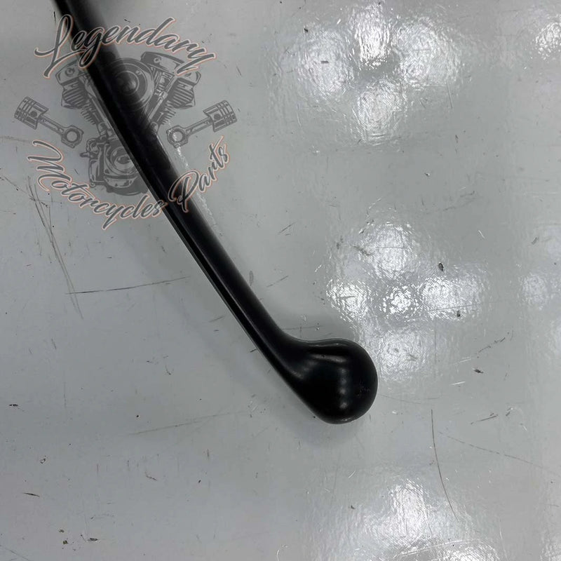 Master Cylinder and Clutch Lever OEM 36700169A