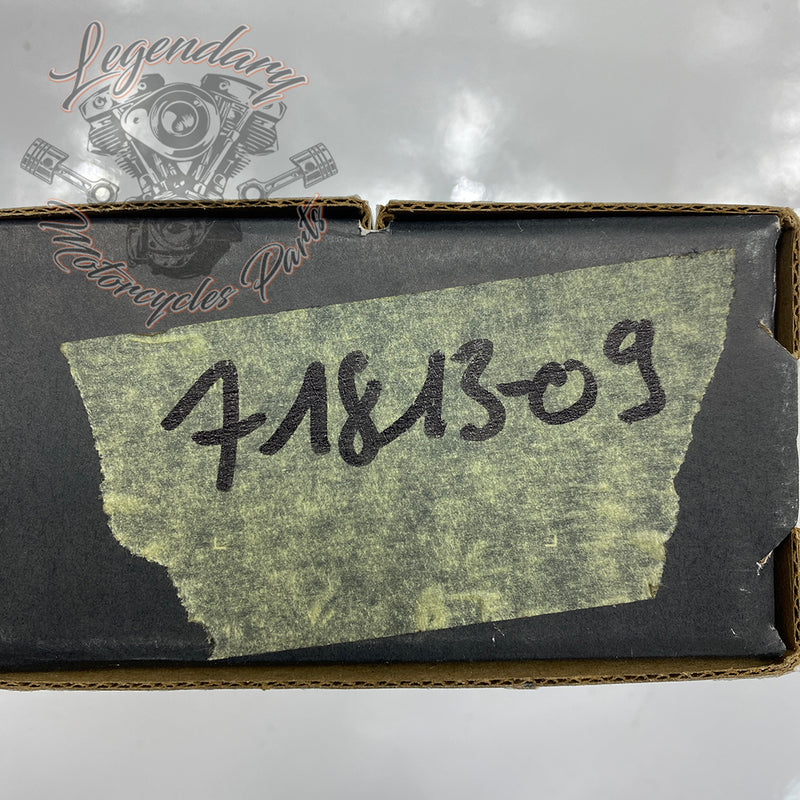 Chrome Switch Kit OEM 71813-09