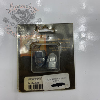 Kit de parafusos cegos OEM 94124-93T