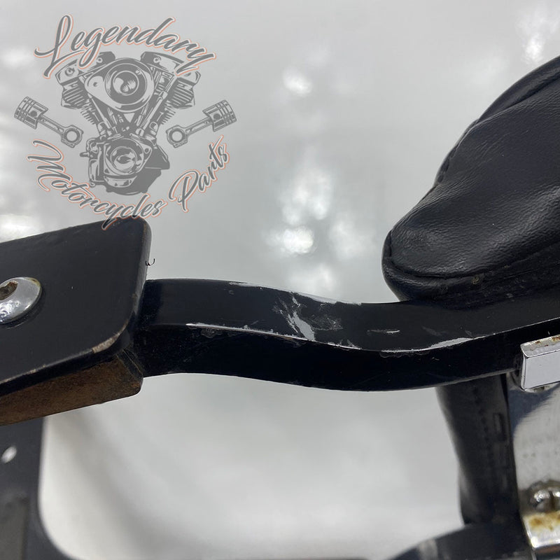 Sissy Bar