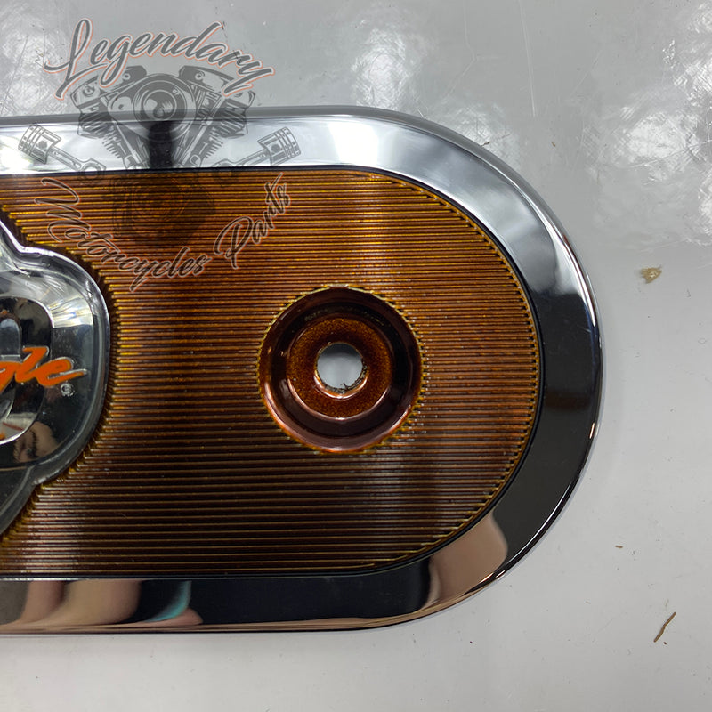 Insert de filtre à air OEM 29895-08