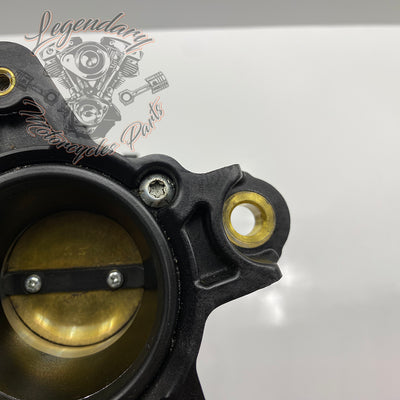 Corps d'injection OEM 27200038