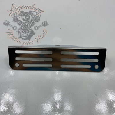 Soporte de matrícula OEM 67900079