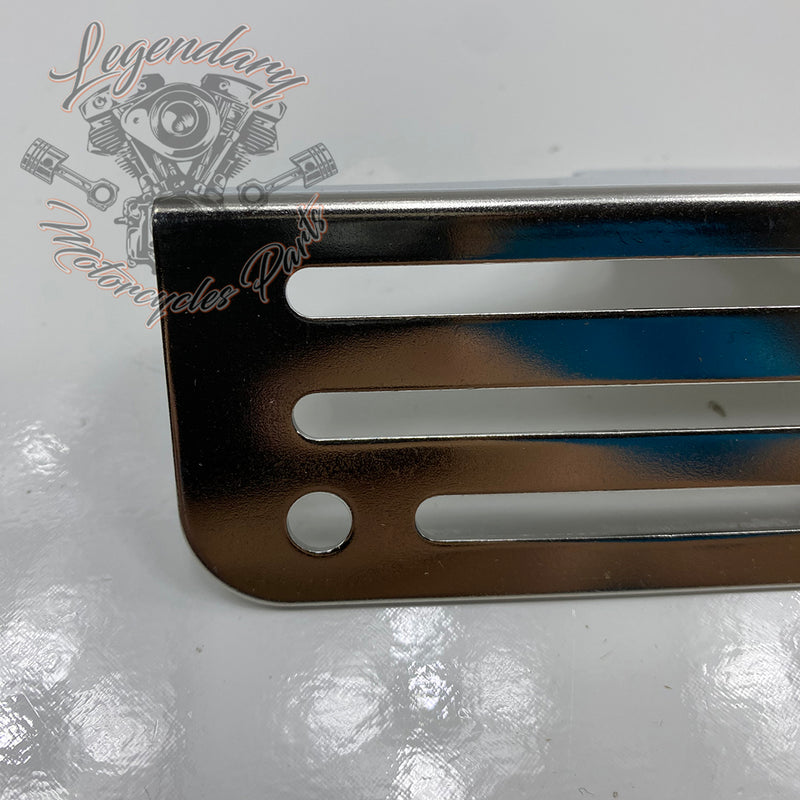 Soporte de matrícula OEM 67900079