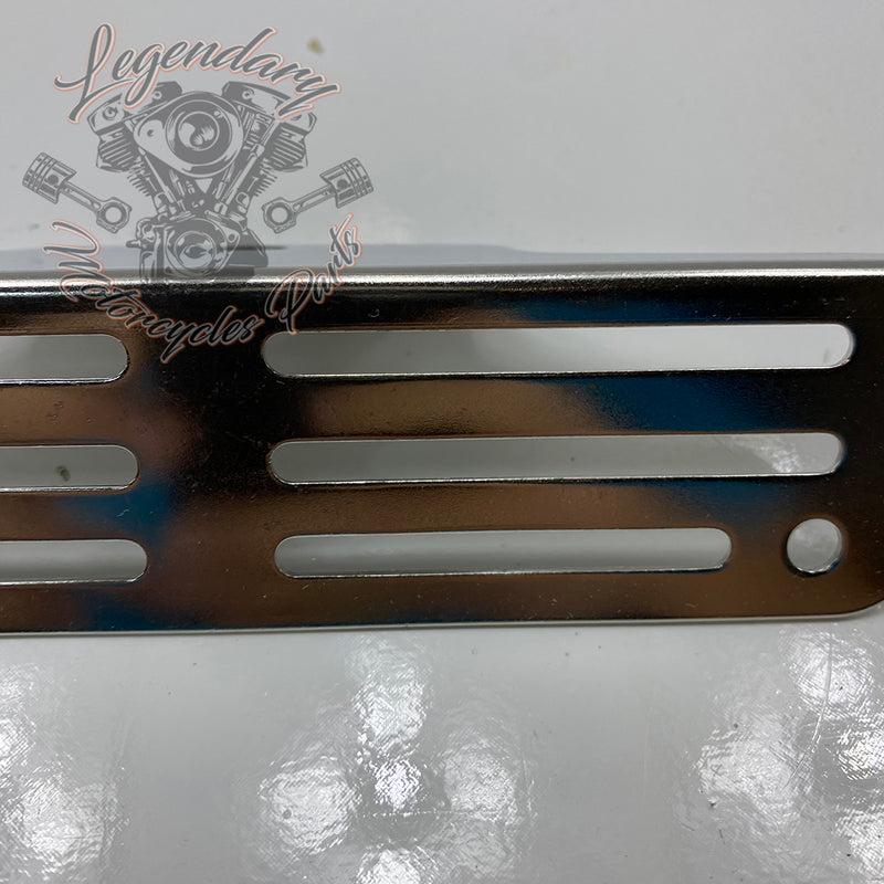 Soporte de matrícula OEM 67900079