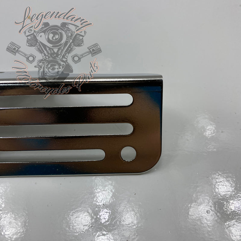 Soporte de matrícula OEM 67900079