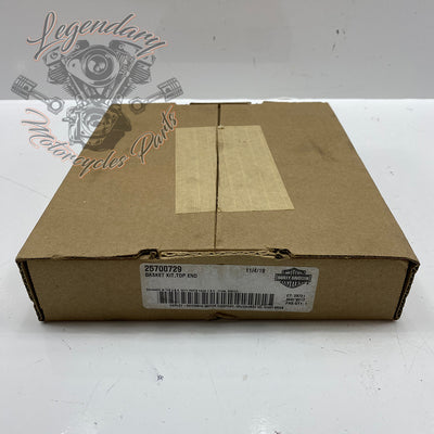 Top Engine Gasket Set OEM 25700729