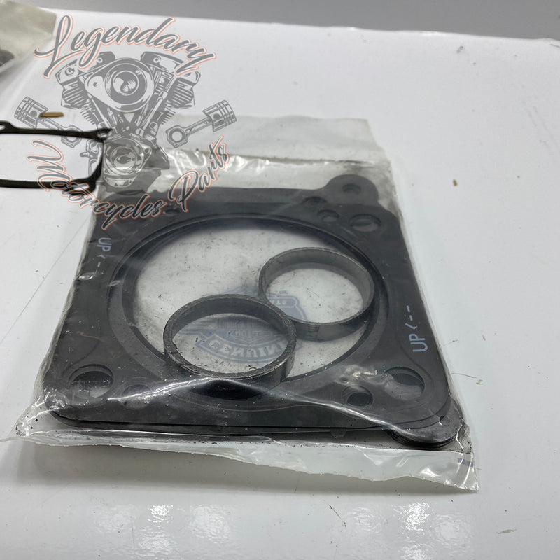 Top Engine Gasket Set OEM 25700729