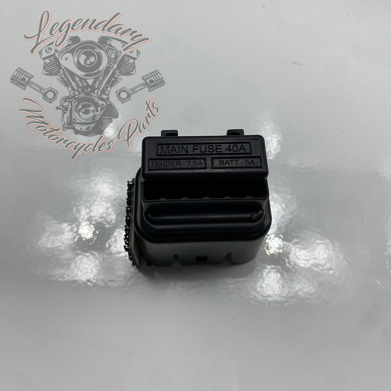 Caja de fusibles OEM 69201832