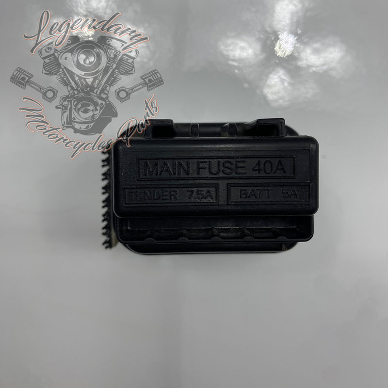 Caja de fusibles OEM 69201832