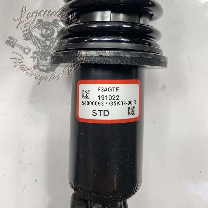 Ammortizzatore OEM 54000093