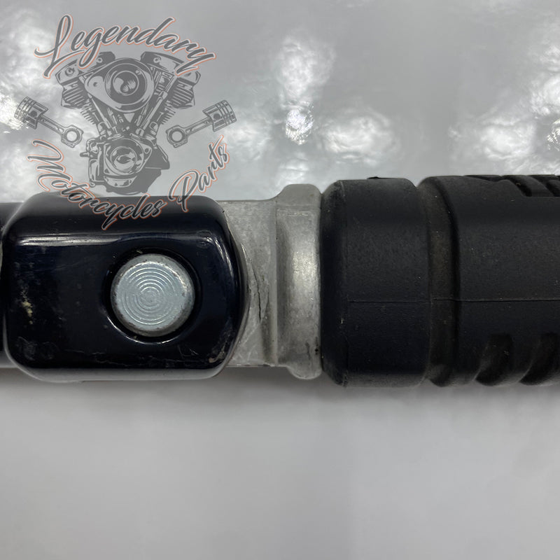 Soporte de reposapiés pasajero OEM 50501129