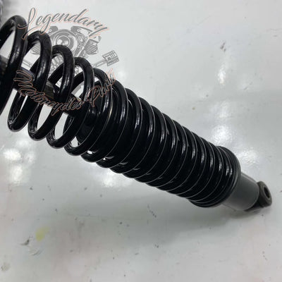 Ammortizzatore OEM 54000093
