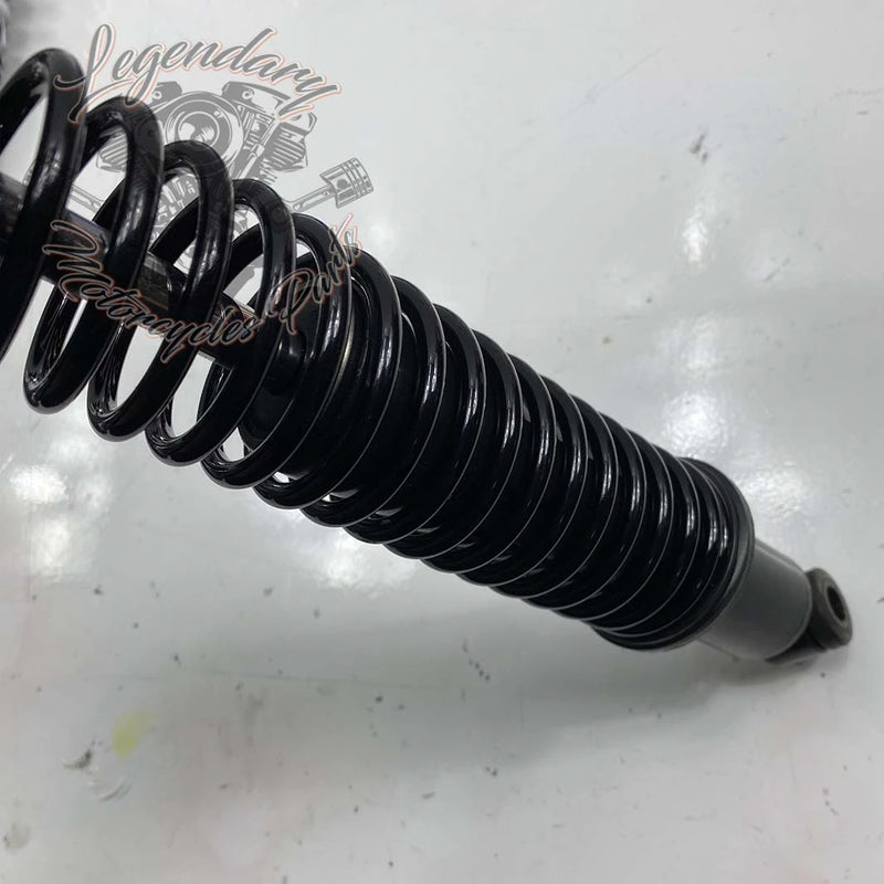 Ammortizzatore OEM 54000093