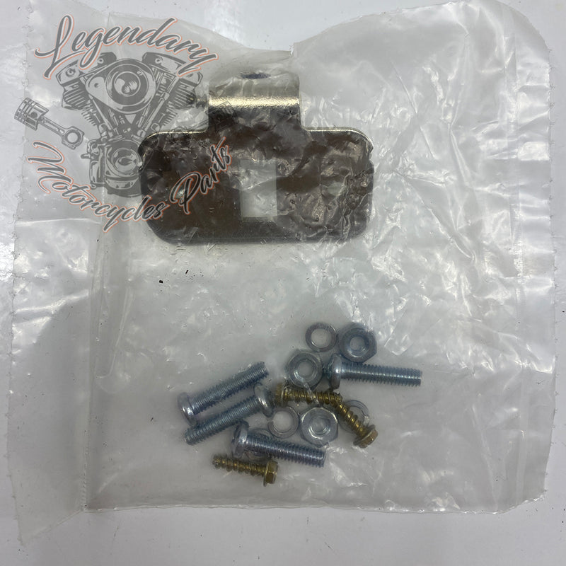 Rigid Saddlebag Security OEM 46287-04