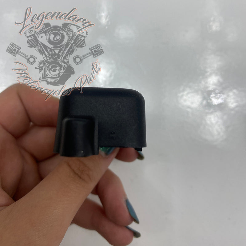 Rigid Saddlebag Security OEM 46287-04