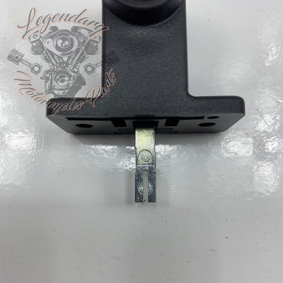 Rigid Saddlebag Security OEM 46287-04