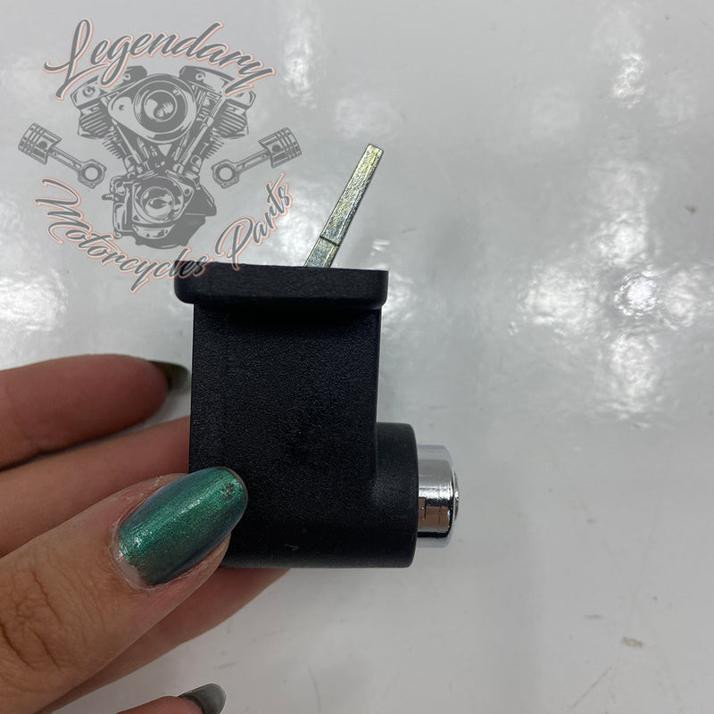 Rigid Saddlebag Security OEM 46287-04