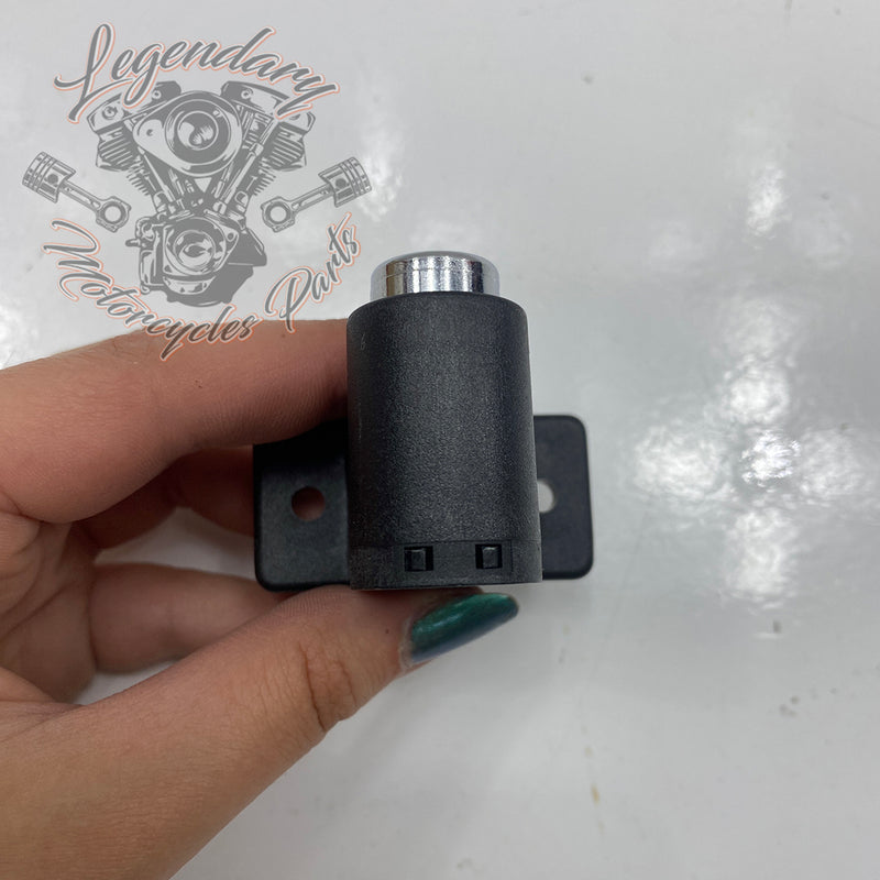 Rigid Saddlebag Security OEM 46287-04