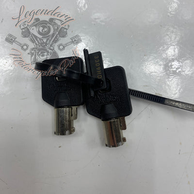 Rigid Saddlebag Security OEM 46287-04