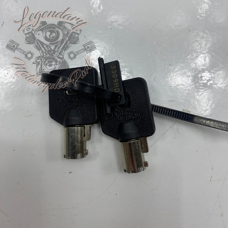 Rigid Saddlebag Security OEM 46287-04