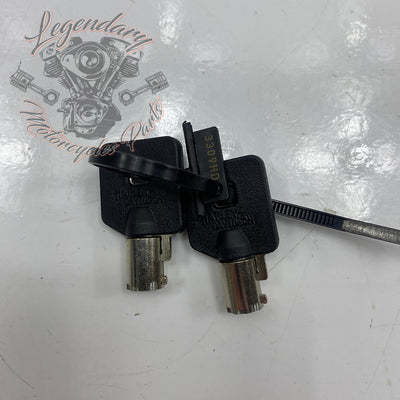 Rigid Saddlebag Security OEM 46287-04