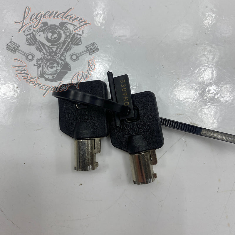 Rigid Saddlebag Security OEM 46287-04