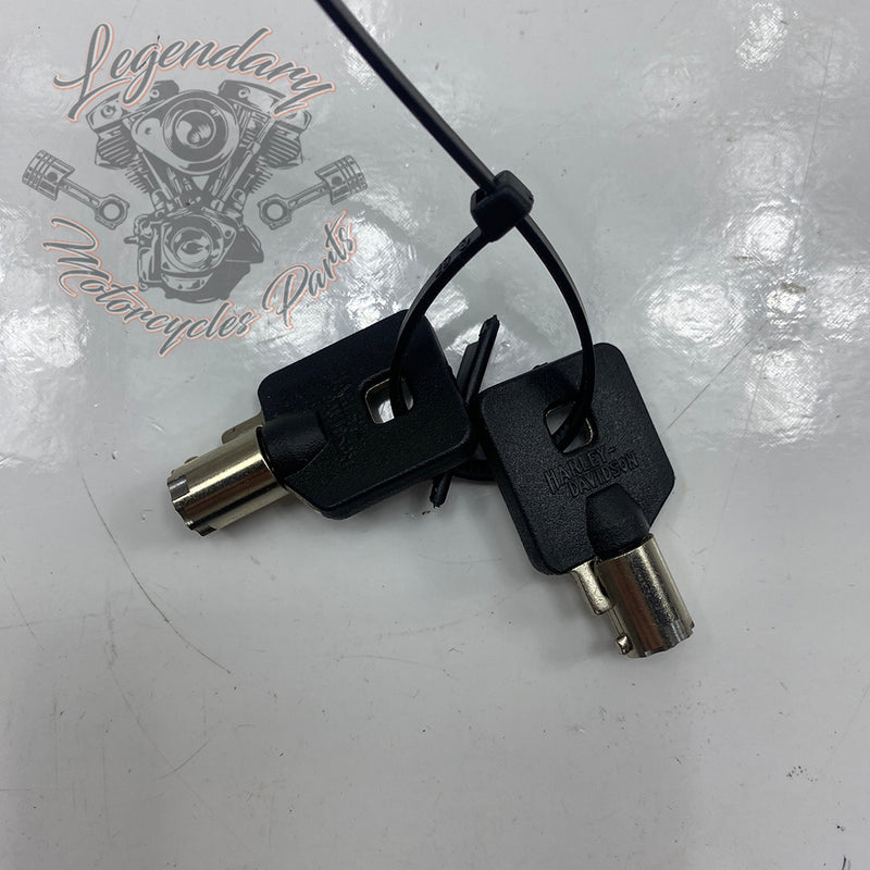 Rigid Saddlebag Security OEM 46287-04