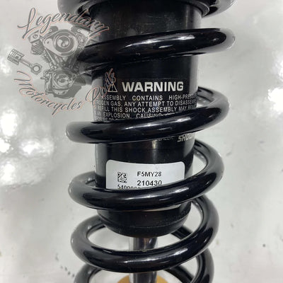 Shock Absorber OEM 54000095