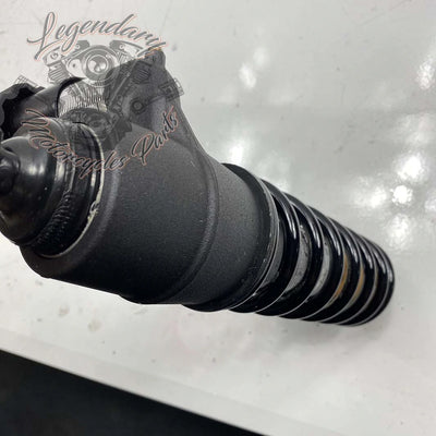 Shock Absorber OEM 54000095