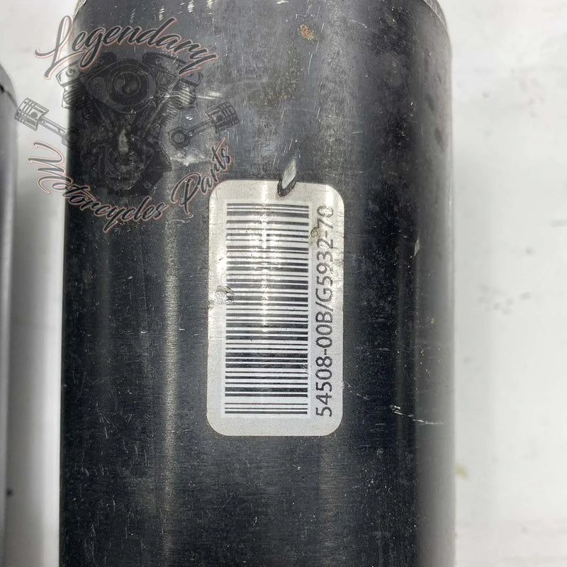 Amortyzatory OEM 54508-00B